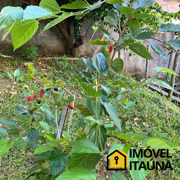 imovel-itauna-casa-8560-17