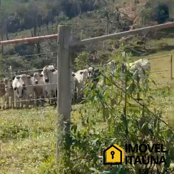 imovel-itauna-fazenda-1126-03