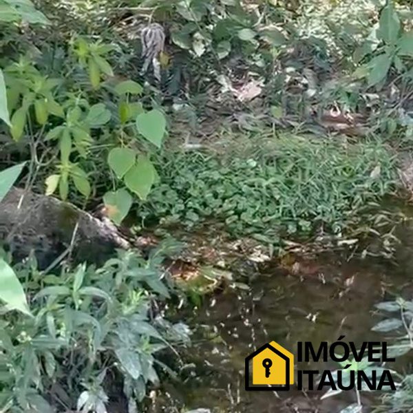 imovel-itauna-fazenda-1126-10
