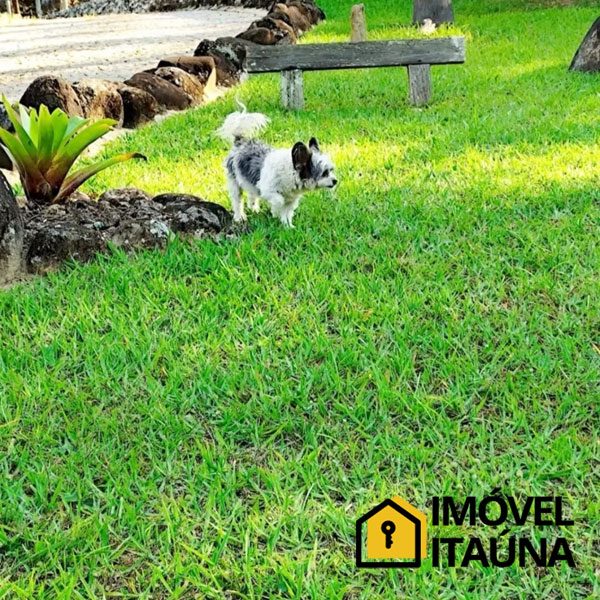 imovel-itauna-fazenda-1126-16